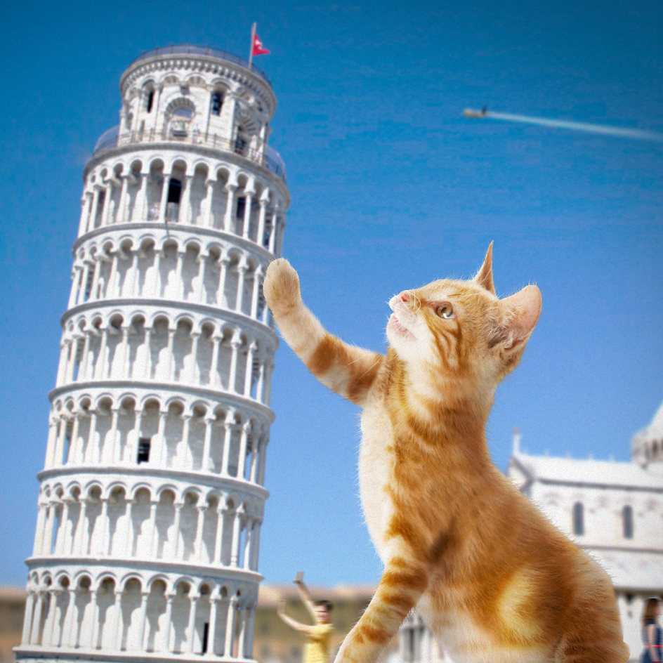 SENASICA's tweet photo. No, la Torre de Pisa no es de pizza, ¿llevamos pizza para el viaje? Mejor reviso esto antes: http://t.co/yfXZHvNUAO http://t.co/aOtog5sXht