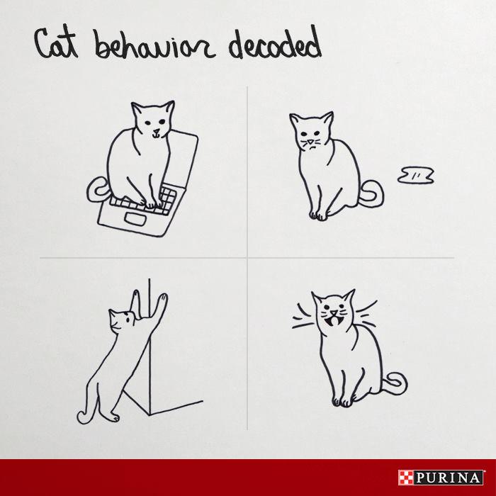 TrayFC's tweet photo. Maybe that's why Gelly tries to eat tape... http://t.co/RSWGm0fpb2 http://t.co/JIsFQHXDBZ #purinaemp http://t.co/BsZxn3ERur