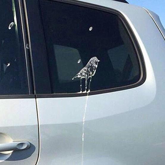 AndrewBloch's tweet image. The best bird sh*t self portrait you will see all day