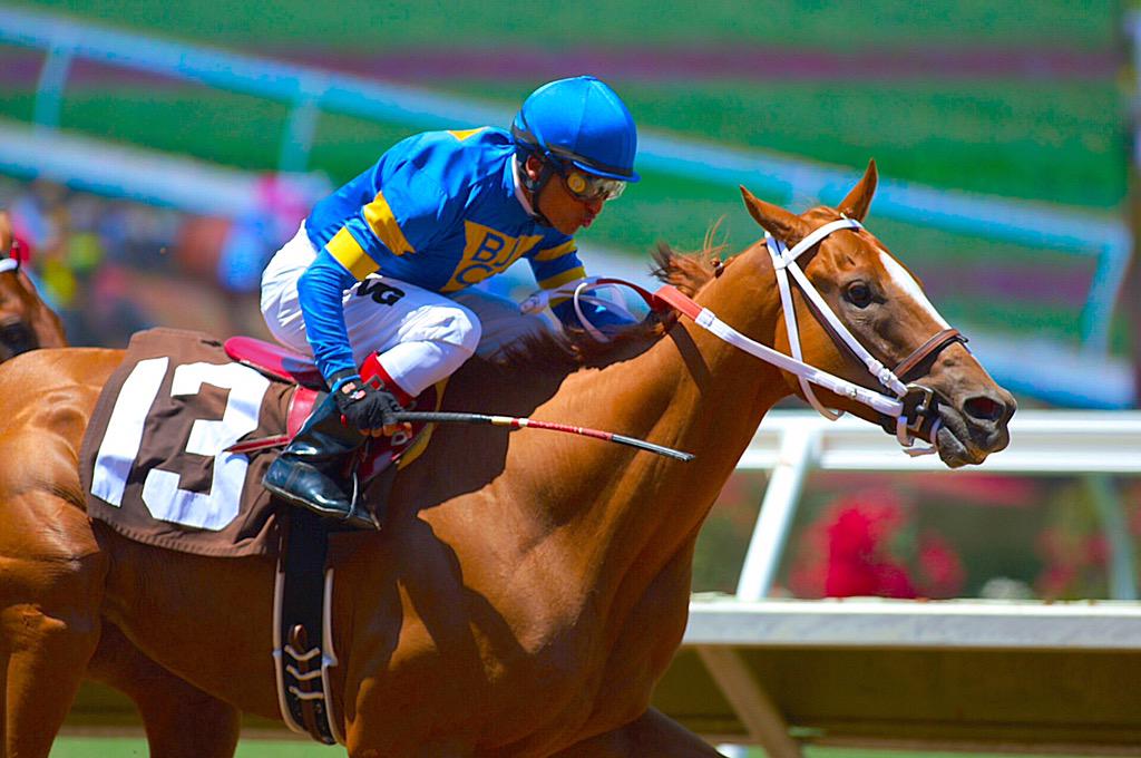 DelMarRacing's tweet photo. He ended last meet hot and started this meet even hotter, Rafael Bejarano scores in the opener aboard Olympic Blue! http://t.co/xnYan0gwpg