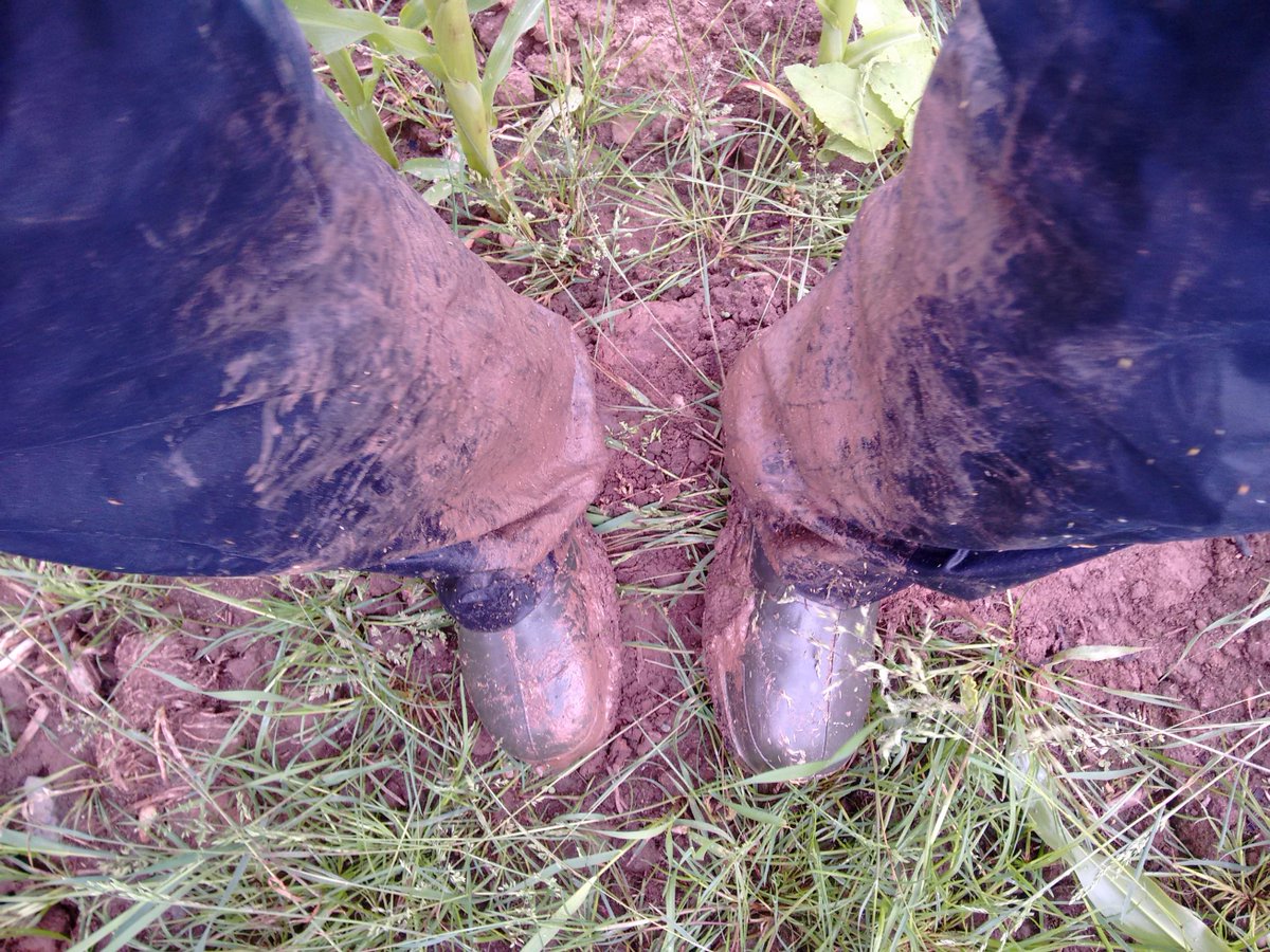 dordhume's tweet photo. How so muddy http://t.co/0sXjwEbpKL