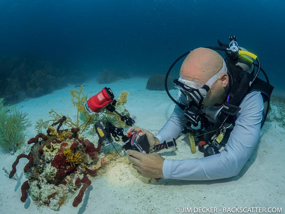 BackscatterUW's tweet photo. Carlos from @getolympus working hard, shooting the TG4! Shot with EM-5 MKII and F1.8 fisheye lens. #divewithOlympus http://t.co/GIexaWsnzG