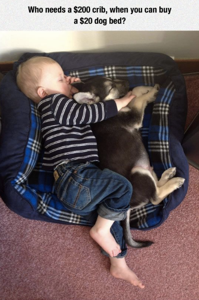 Epic_Parents's tweet photo. Cheaper AND cuter! http://t.co/NpCIMQttB4 http://t.co/7TNSKEsCNt