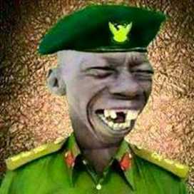 jamilumar56's tweet image. 