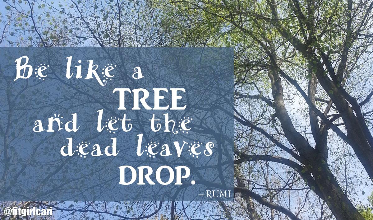 fitgirlcari's tweet image. Inhale. Exhale. Repeat! #NatureRocks