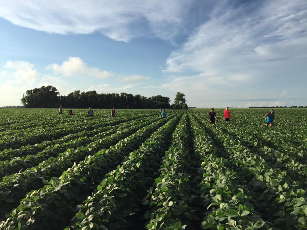 revin_ronnie48's tweet photo. Sorry @GJAwahl Selling the sprayer #rogue15 youth group $$ raiser RR canola #noxious weed @NGenetics #Richer http://t.co/KpzGvG4Xn9