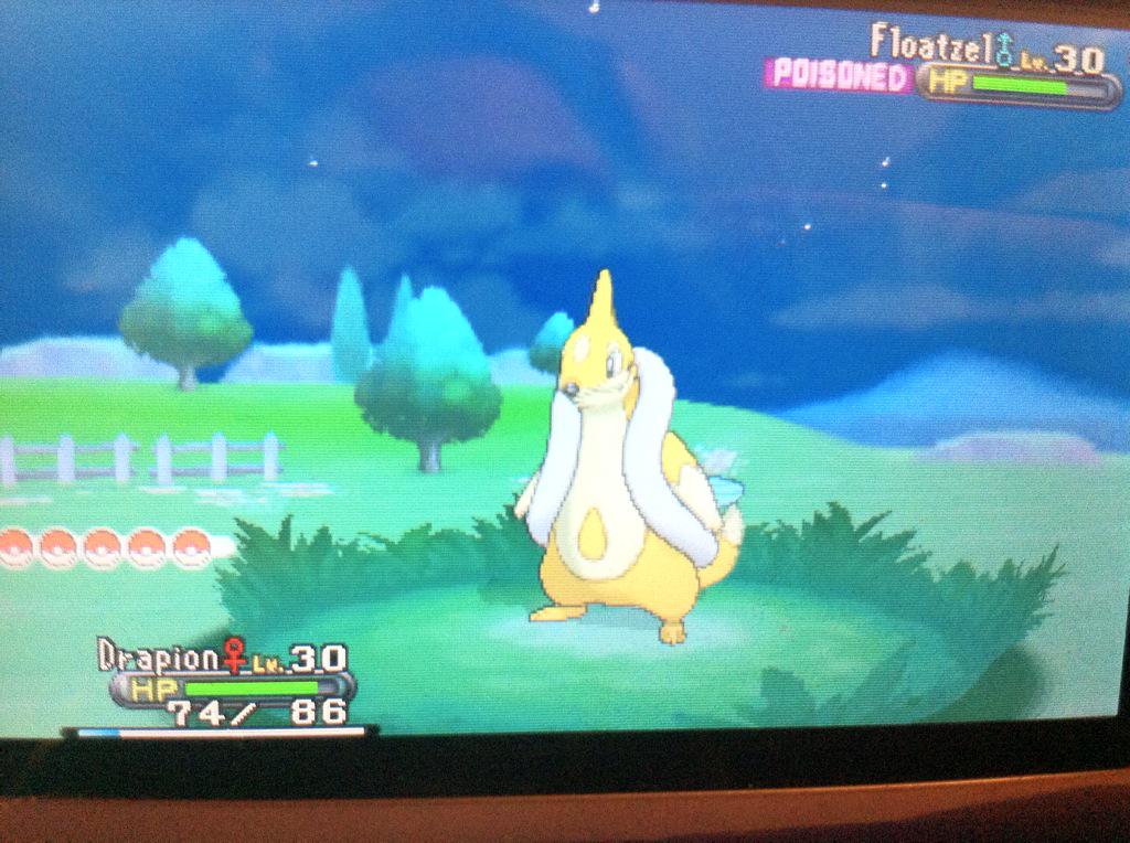 SwanyGray's tweet photo. Yas bitch! Finally! #shinypokemon #pokemon #shinyfloatzel #shinyhunting http://t.co/gmnyhHYkeg