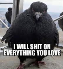 limegem's tweet image. Me when Jasper is talking shit about me...