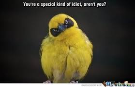 limegem's tweet image. Me when I met Pearl.