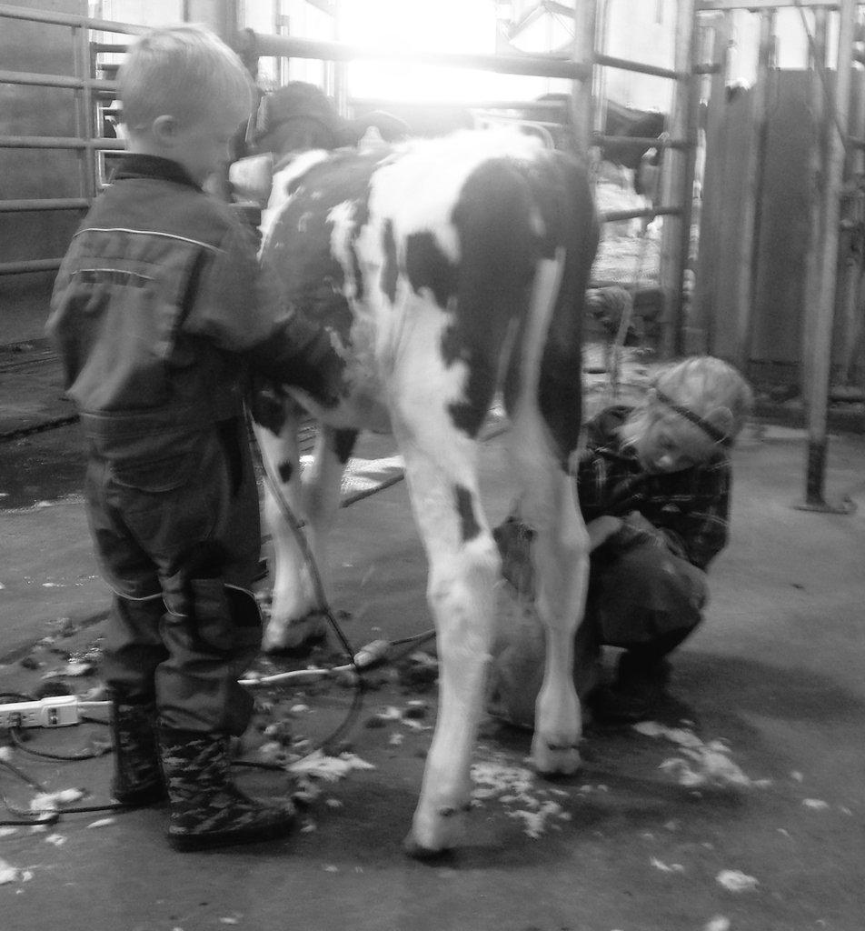 I'm starting to like this show thing more and more!!# learntodobydoing