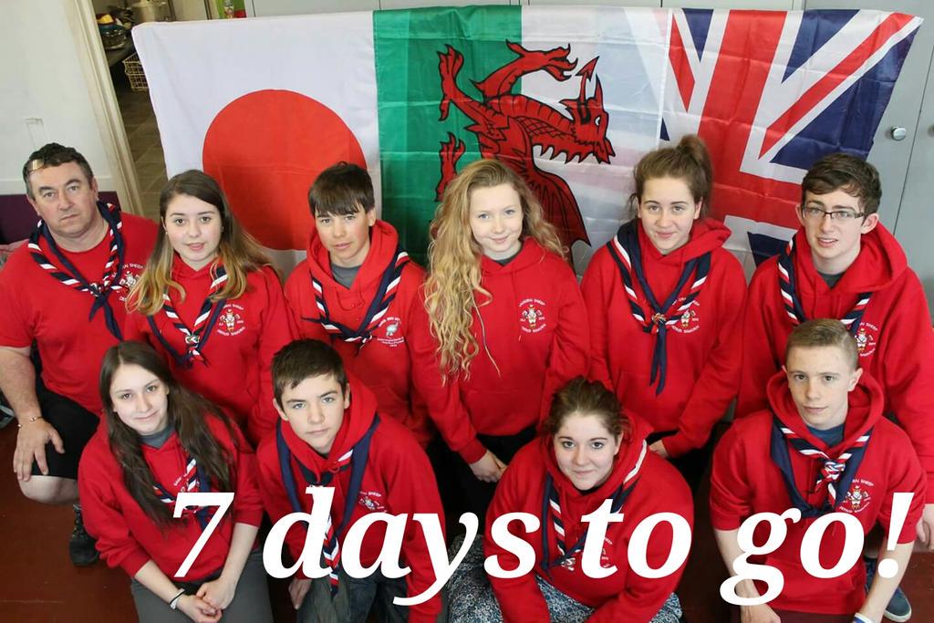 missdavies_prim's tweet photo. Arrghhh!! 1 week to go! It's so close!! #japan2015 #wsj2015 #defaidsamurai #samuraisheep #1weektogo #7daystogo http://t.co/8SiWNOgPOM