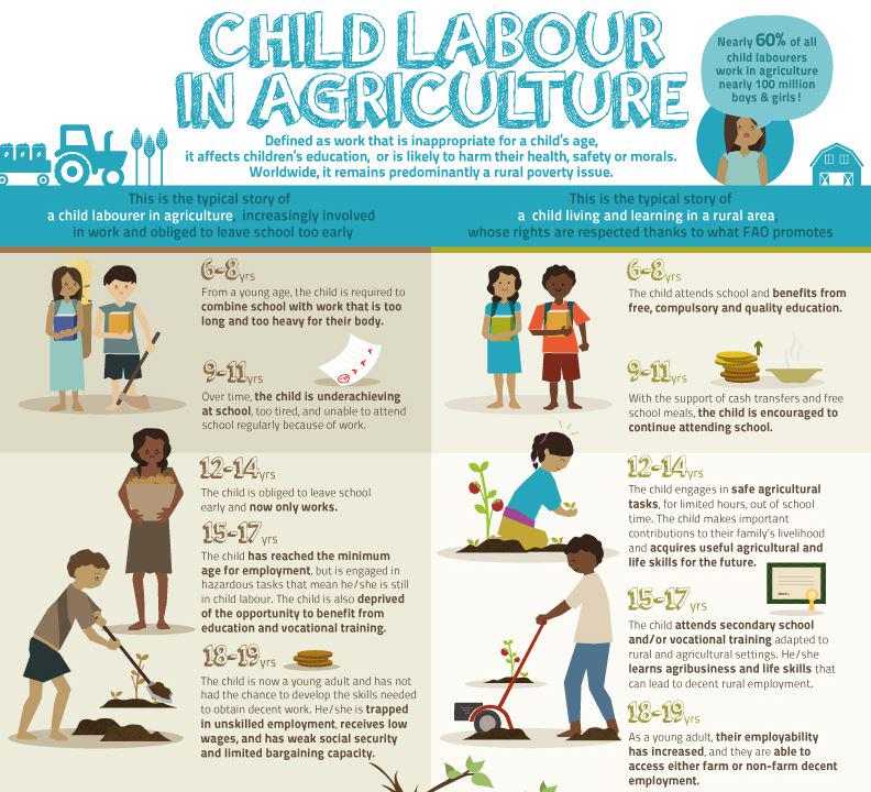 #Childlabour perpetuates cycle of poverty fr children involved &amp; their families bit.ly/1CtmyzY  <a href="/FAOKnowledge/">FAO Knowledge</a>