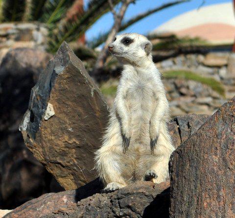 BushnellSA's tweet image. Friday is that you?