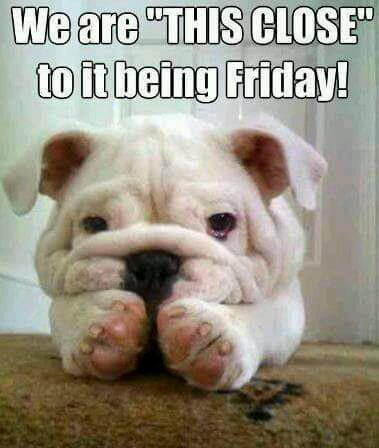 TreeNovember's tweet photo. It's here .... http://t.co/6U5YZx3KlX