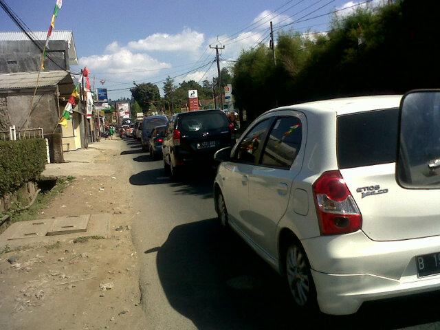 ujacomeback tweet media