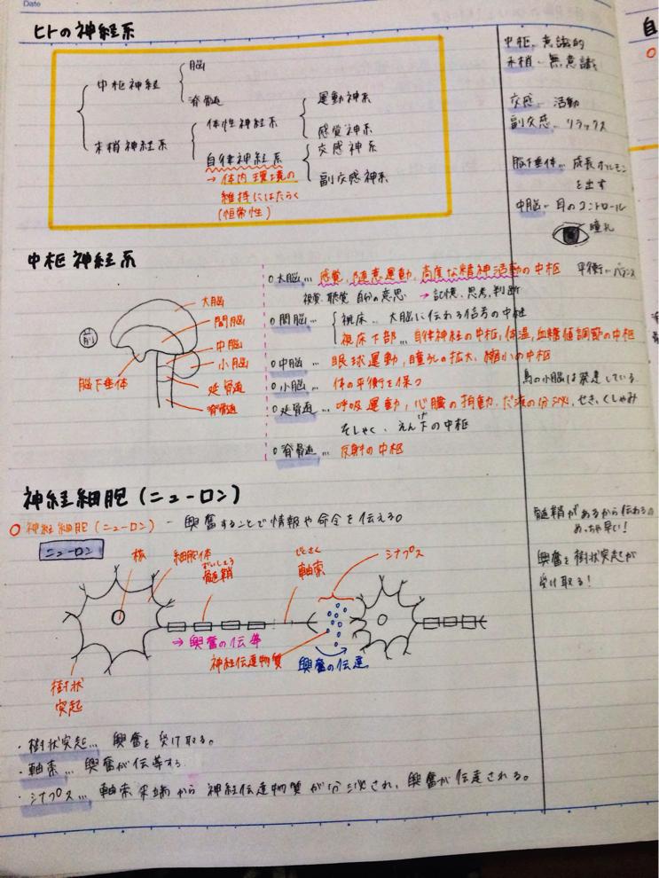 Clear勉強ノートまとめアプリ公式 sa Twitter "受験生のさきさん、きれいなノートをありがとう
