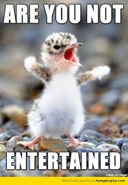 limegem's tweet image. Me at school.