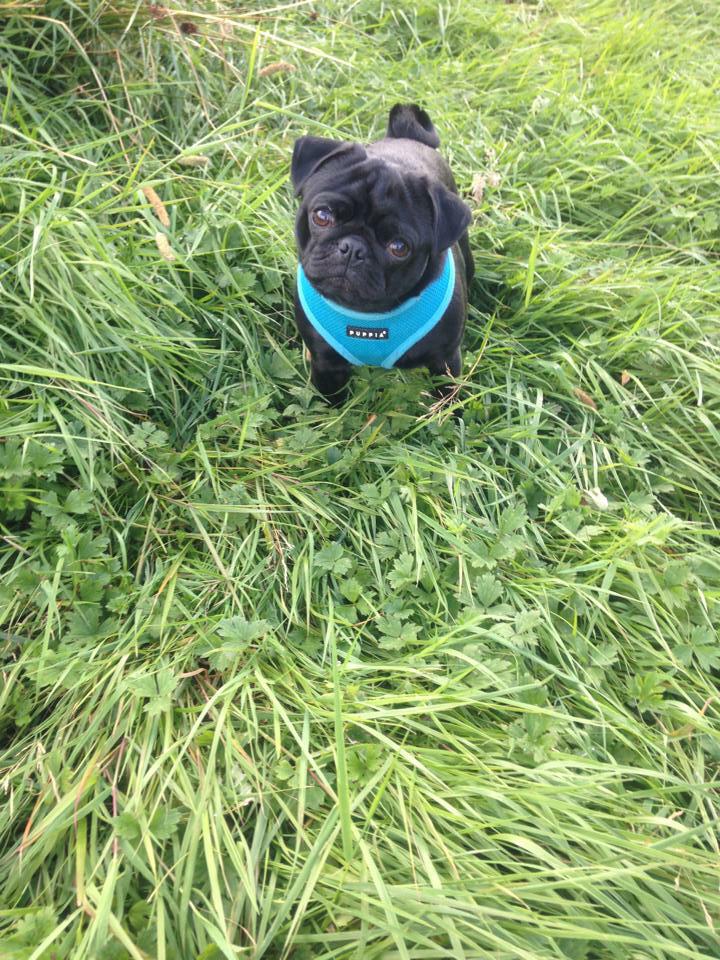 Vicky Stephenson tweet media