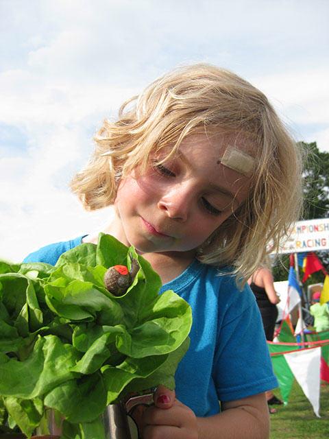 Congham_Hall's tweet image. Winning snail at the World Snail Racing Championship 2014. This year's race is tmw! Info here: buff.ly/1Jhwx8l