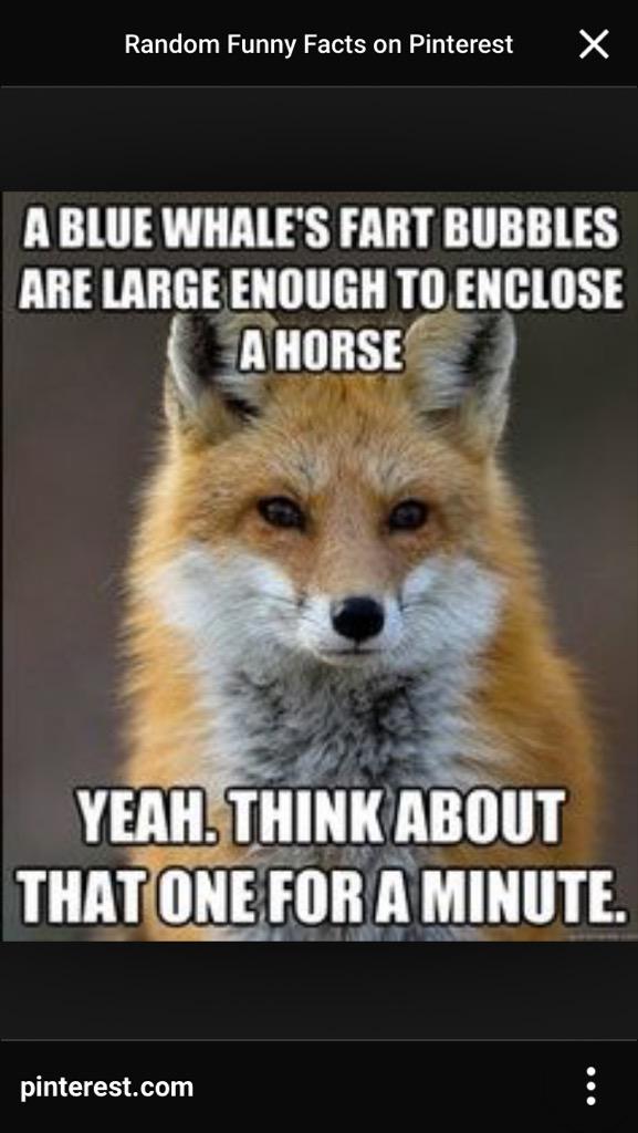 RoundJackson tweet picture