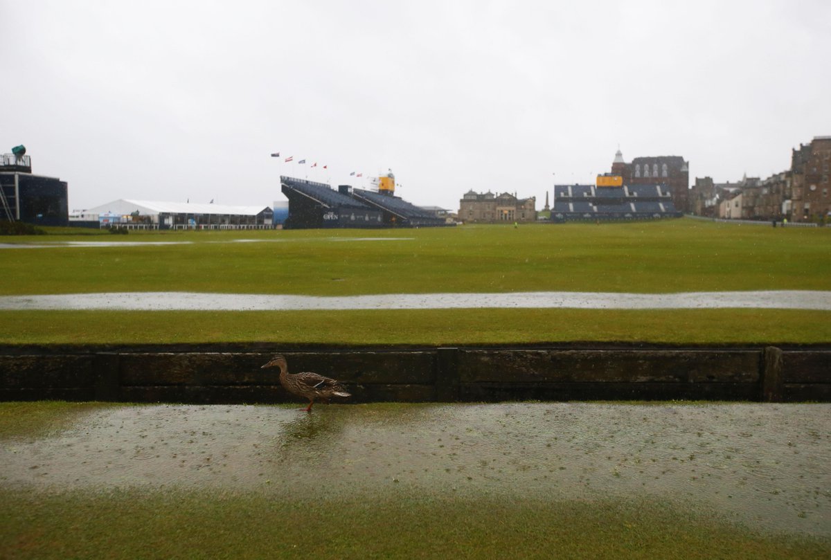 TheOpen's tweet photo. Lovely morning on the Old Course...if you're a duck.
#TheOpen http://t.co/vtQkHgqOyJ