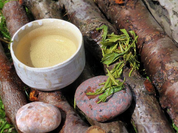 Scoprite la #leggenda del #MaoFeng, il #tè nato da un #amore impossibile su:bit.ly/1TGvbuZ #Cina #tea