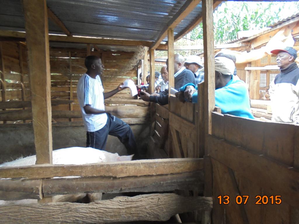MitahatoEdf's tweet photo. Thumbs up! to all farmers who attended our trainings #skillstraining #Agribusiness @dfk_group @mkulimayoung http://t.co/BNGih1kU2a
