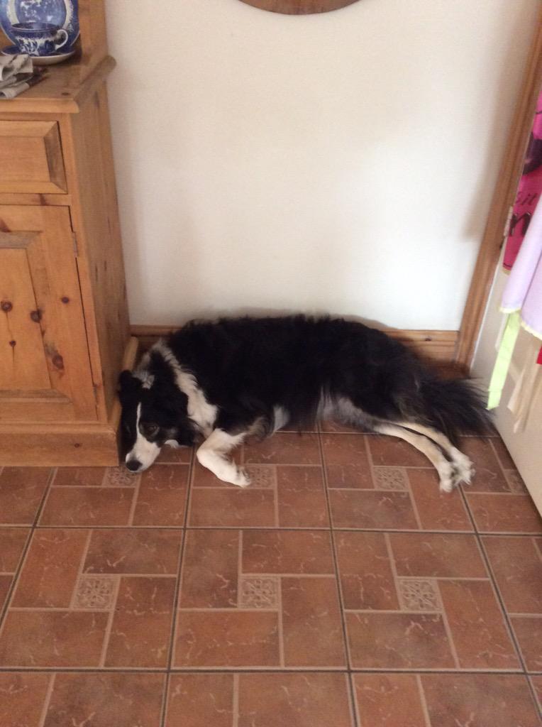 @Phoebenibble @tmpppr @ApepperAdrian @EmmaYoungman @BCTGB mostly today I'm going to find a cool spot #NorfolkSummer