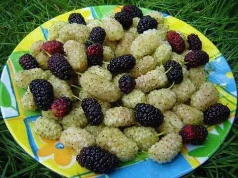 iymanhamse43's tweet photo. http://t.co/N0WqRBY2cl