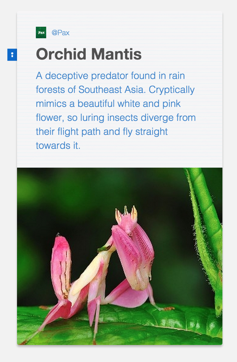 getpax's tweet photo. Masterful deception, fascinating fraud. Not all in nature works an honest living. #shortis #scicomm #connectednature http://t.co/MPwlfrsTn7