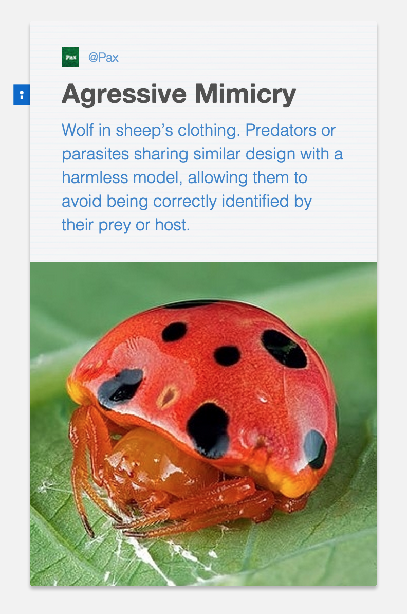 getpax's tweet photo. Masterful deception, fascinating fraud. Not all in nature works an honest living. #shortis #scicomm #connectednature http://t.co/MPwlfrsTn7