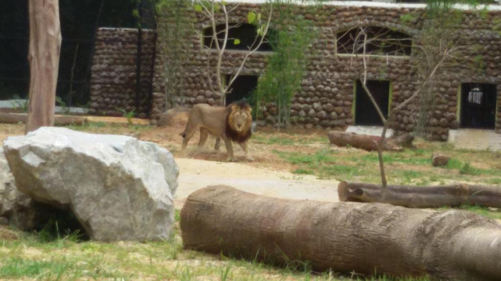 Mysore_Zoo tweet picture