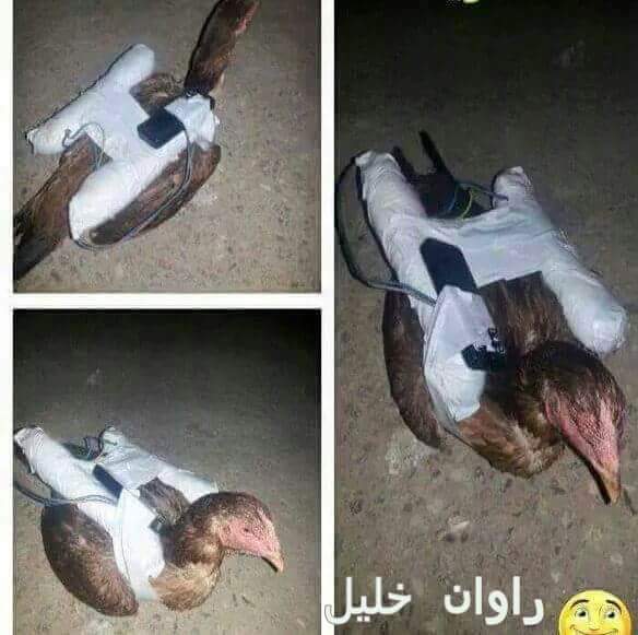 View image on Twitter View image on Twitter