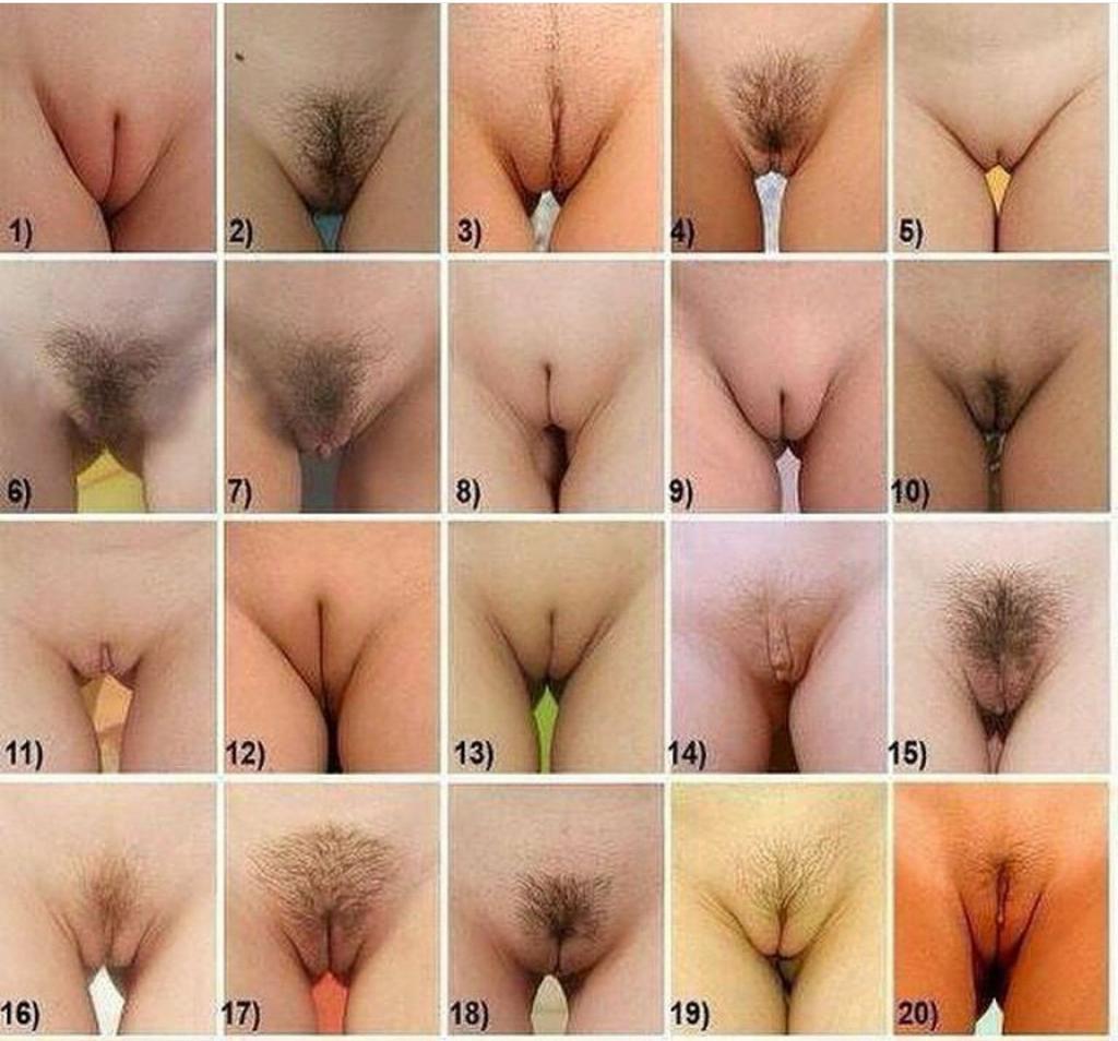 hotgirlspics691's tweet photo. #pussy #girls #naked #fuck #pussypower #pussytype http://t.co/FqW879gAly