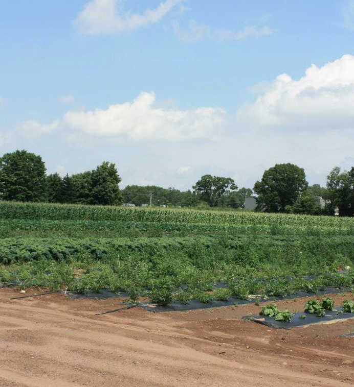 EnjoyGoodMeal's tweet photo. Friday is test kitchen day at GoodMeal HQ and we <3 using fresh produce from our local farms! http://t.co/z08DGjW59b