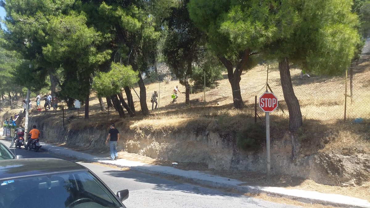 View image on Twitter