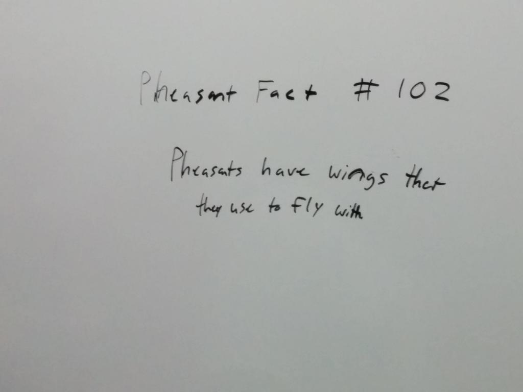 FightingOcelots's tweet photo. #FightingOcelots #PheasantFacts http://t.co/d8jgkFXXsP