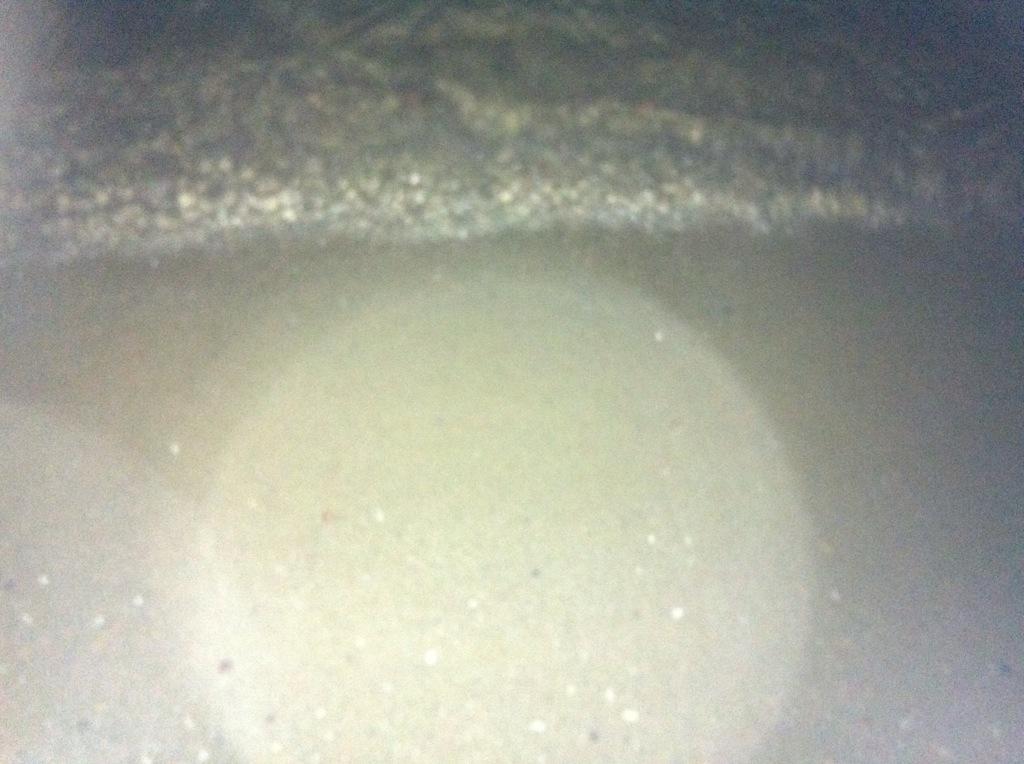 amanda28137922's tweet photo. At the beach yesterday~#likeforfolow http://t.co/uIZgyQqYTc