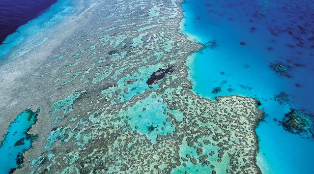 9NewsAUS's tweet photo. Oil spill confirmed along Great Barrier Reef. http://t.co/py4CEb9tio #9News http://t.co/Z0kRTb2dhL