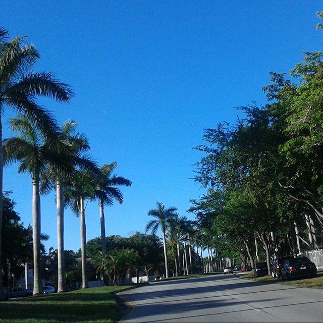 FitCalENGLISH's tweet image. @vanitybysandra posted #runmode #runtoinspire

La felicidad se encuentra a lo largo del camino, no al final.
No te …