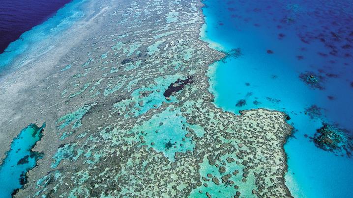 dtdchange's tweet photo. Oil spill confirmed along Great Barrier Reef
http://t.co/4I32HUfm9O v @punchumgum #marine #pollution http://t.co/XgeRAiU84R