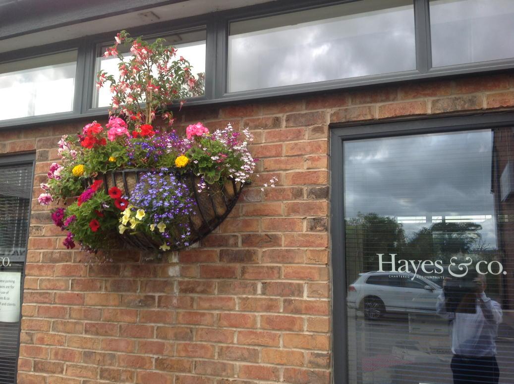 This is the other one