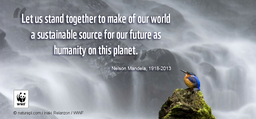 WWF South Africa tweet media