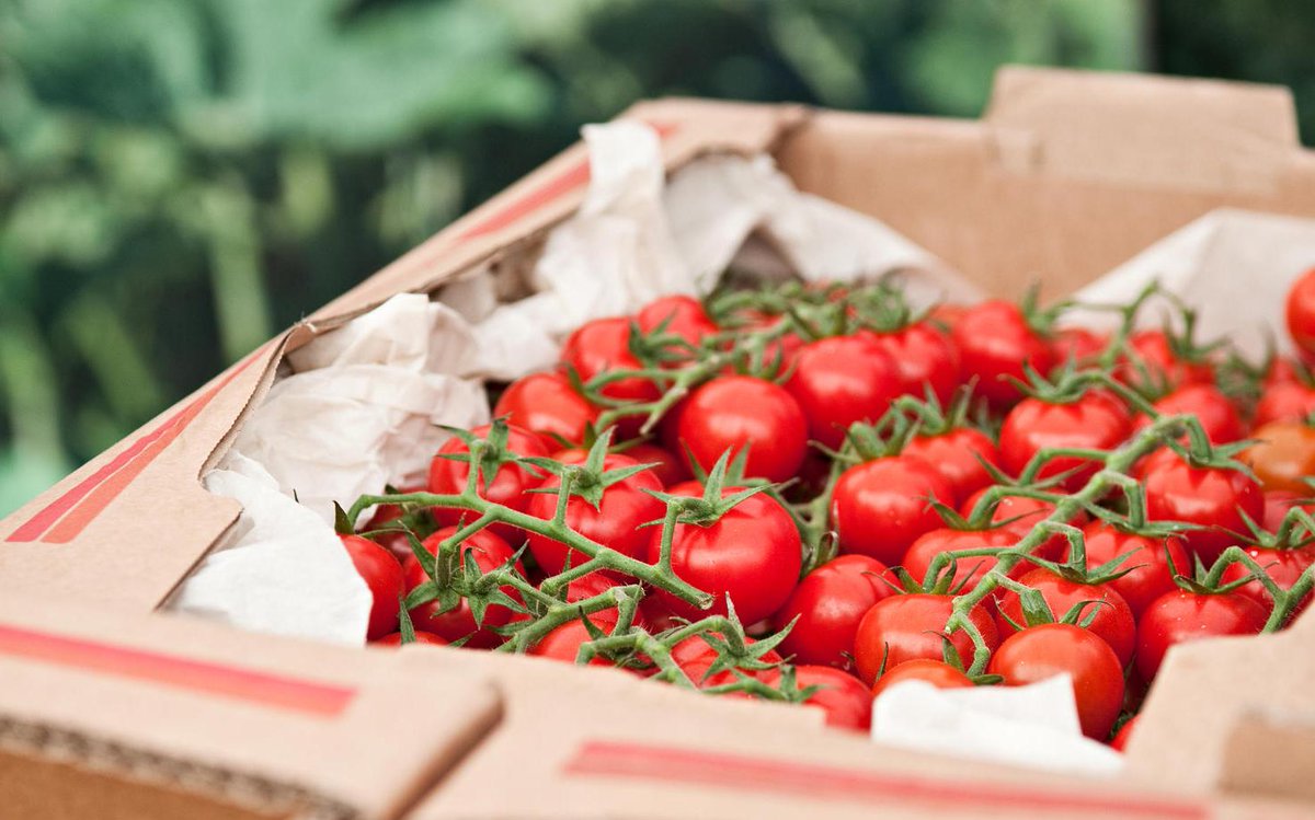 Den er svulmende, rød og søt, og har sin norske høysesong nå om sommeren: frukt.no/presse/pressem…