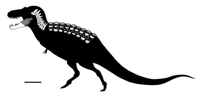 Dynamosaurusのtwitterイラスト検索結果 古い順