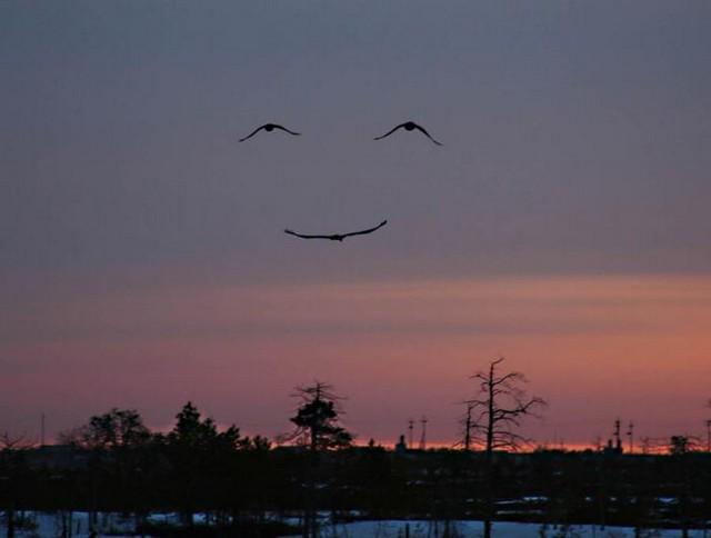 raropensador's tweet photo. Ontem eu era inteligente, queria mudar o mundo. Hoje eu sou sábio, estou mudando a mim mesmo! http://t.co/j3aOTmVXnU