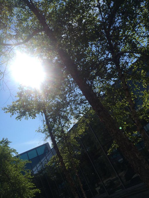 Landed safe and sound! It's a beautiful day out :) http://t.co/zAWbEBGTpz<a href="/tag/rhodeisland"class="tags"><span>#rhodeisland</span></a>