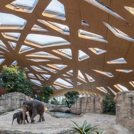 IDSToronto's tweet image. #Wood seems to be the theme of the day - #Zurich elephant house boasts a wooden dome bit.ly/1J4APnD