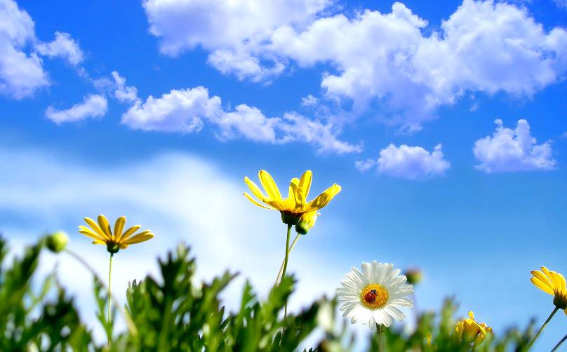 CiscoLATraining's tweet photo. ¡Feliz fin de Semana para todos!
Feliz fim de Semana para todos vocês! 
Have a Happy Weekend! http://t.co/xkMqSQi7sX