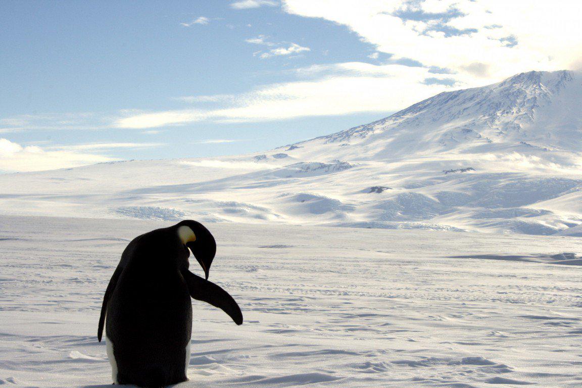 What Shackleton’s Antarctic expedition can teach entrepreneurs wef.ch/1KcqpUz